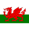 Logotipo de Wales U19
