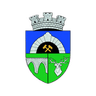 Logotipo de Anenii Noi Femenino