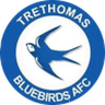 Logotipo de Trethomas Bluebirds