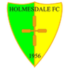 Logotipo de Holmesdale