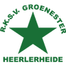Logotipo de Groene Ster