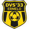 Logotipo de DVS 33 Ermelo
