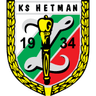 Logotipo de Hetman Zamosc