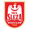 Logotipo de Ślęza Wrocław