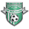 Logotipo de Dukagjini