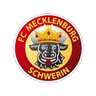 Logotipo de Mecklenburg Schwerin