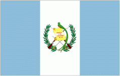 Logotipo de Guatemala Femenino