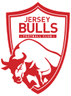 Logotipo de Jersey Bulls