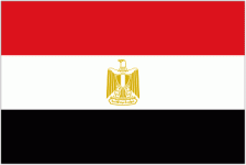 Logotipo de Egypt Femenino