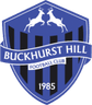 Logotipo de Buckhurst Hill