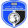 Logotipo de Black Bulls Maputo