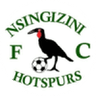 Logotipo de Nsingizini Hotspurs