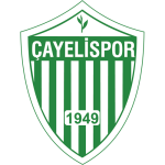 Logotipo de Çayelispor