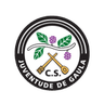 Logotipo de Juventude Gaula