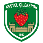 Logotipo de Kestel Çilek