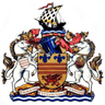 Logotipo de Barry Town