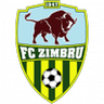 Logotipo de Zimbru