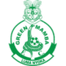 Logotipo de Green Mamba