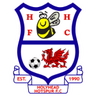 Logotipo de Holyhead Hotspur