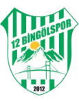 Logotipo de 12 Bingölspor
