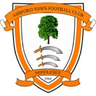 Logotipo de Ashford Town (Middlesex)