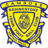 Logotipo de Basingstoke Town