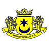 Logotipo de Moneyfields