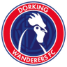 Logotipo de Dorking Wanderers