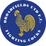 Logotipo de Brockenhurst