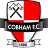 Logotipo de Cobham
