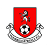 Logotipo de Tunbridge Wells