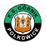 Logotipo de Górnik Polkowice