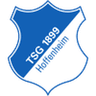 Logotipo de Hoffenheim II